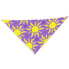 Princess Rapunzel Pet Bandana Cute Bandanas Washable Dog Cat Triangle Bibs